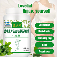 Global hot selling products for ten years: high quality L-carnitine + green tea extract for shaping body shape and antioxidation