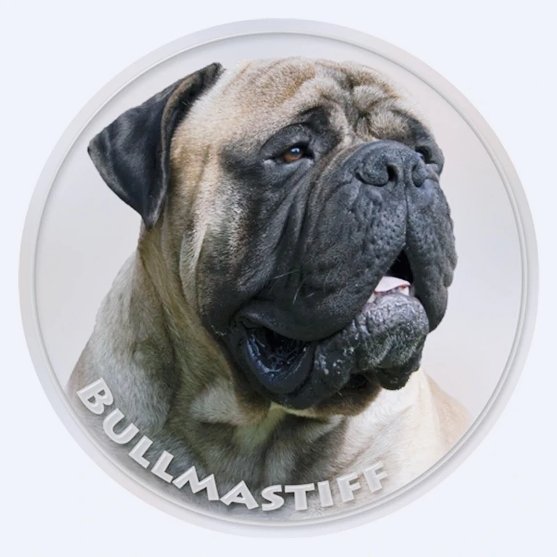 Calcomanía Bullmastiff Animal pegatina de coche para parachoques ventana trasera portátil refrigerador inodoro 13CM PVC KK