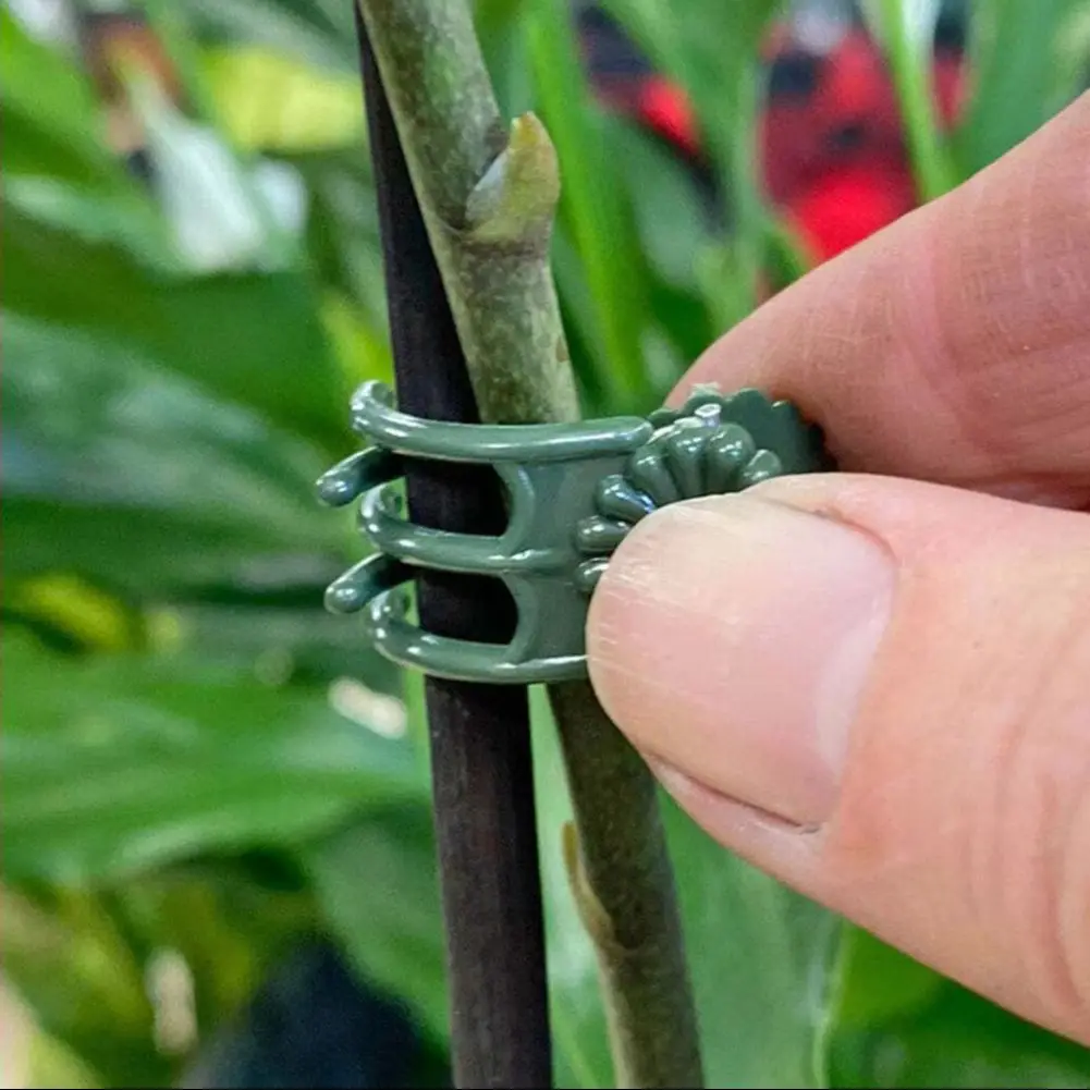 

20pcs Garden Plant Clips Butterfly Orchid Clips Plant Support Stem Clamps Garden Flower Vine Plant Support Garden Tools