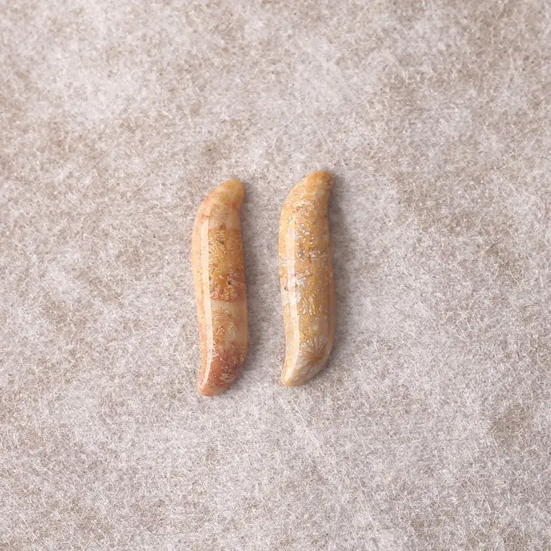 

2PCS Polished Coral Stone Curved Pendants Natural Earthy Brown Gemstone for Boho & Vintage Jewelry Designs 29x7x3mm-2g