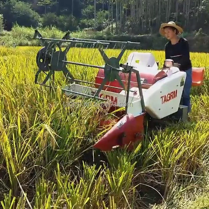 

Paddy Wheat Harvesting Machine Cosechadora De Arroz Moissonneuse Batteuse De Riz Rice Mini Combine Harvesters for Rice and Wheat