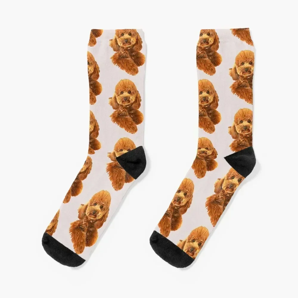 

Poodle Mini Toy Puppy Dog Doodle Love Socks Run winter set Men's Socks Women's kids bright garter set Socks Woman Men's