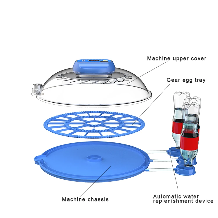 Fully Automatic 8 Eggs Capacity r New Model Wholesale Price