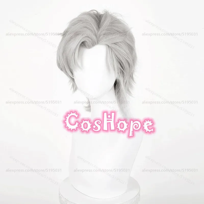 Sylus-Peluca de Cosplay de 38cm, peluca corta gris, pelucas de Cosplay de Anime, pelucas sintéticas resistentes al calor
