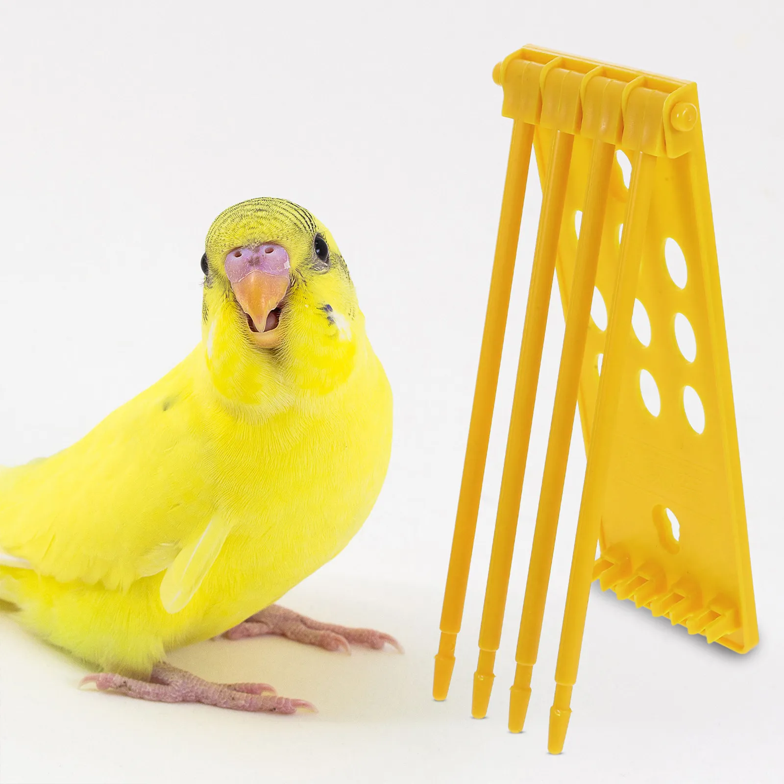 2Pcs Pigeon Foot Ring Holder Stand High-Precision Leg Band Storage Rack for Bird Identification Management Racing Pigeon Gear