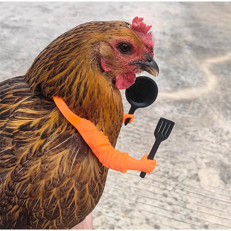 3D Printed Poultry Arm Accessories With +7pcs Weapons – Chicken Arms To Put Chickens Roosters & Farm Hilarious Coop Decor Dog