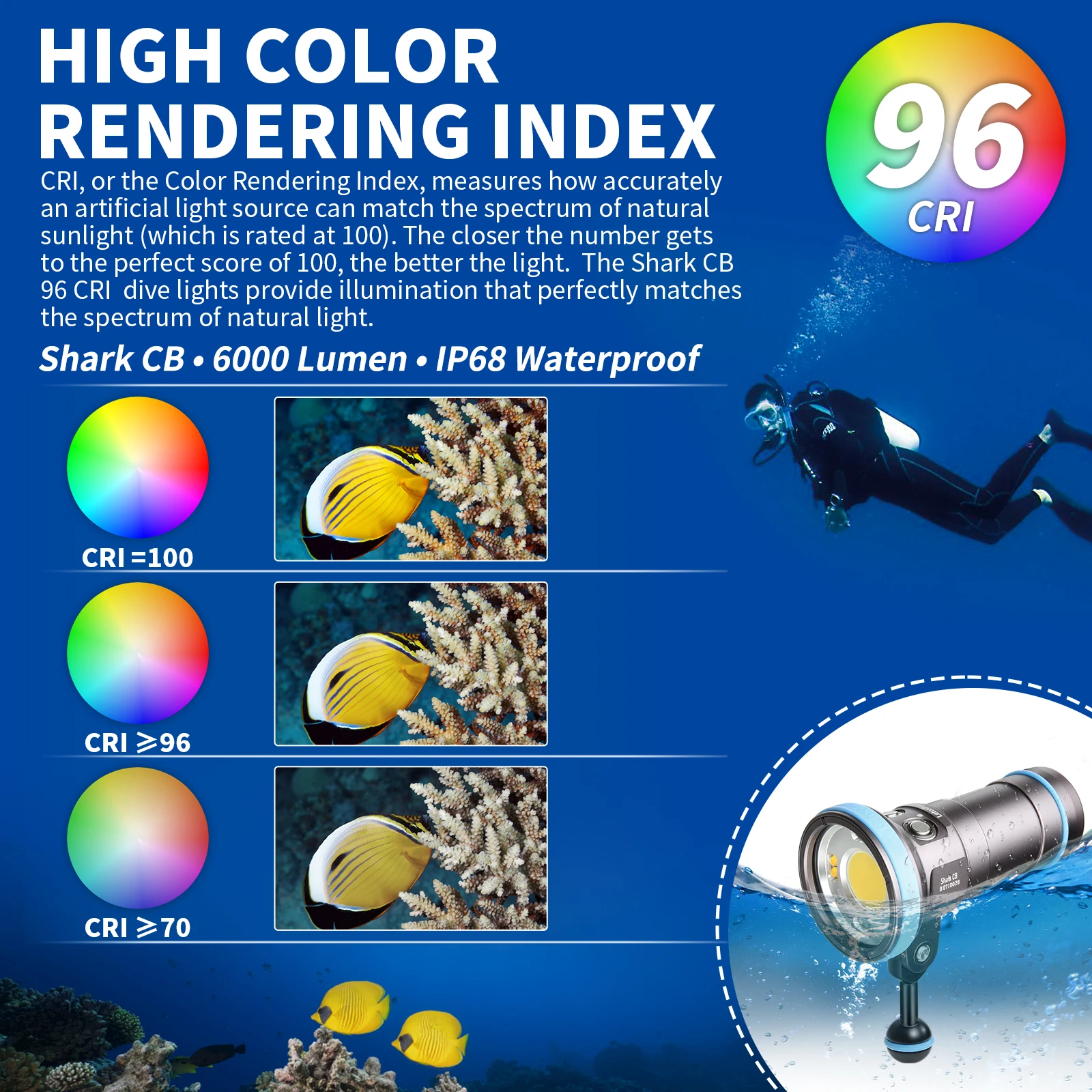 Linterna de Buceo Shark CB de - Photography High Angle reseña y precio