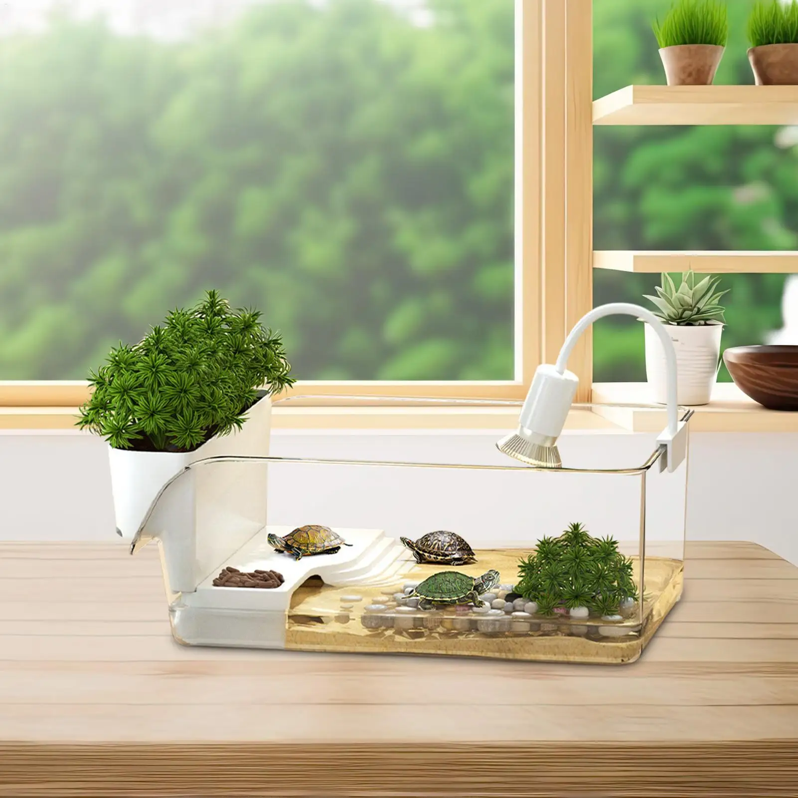 Aquatic Turtle Tank Resting Box for Turtle Transparent Small Tortoise Breeding Box for Reptile Crab School Science Class Nature