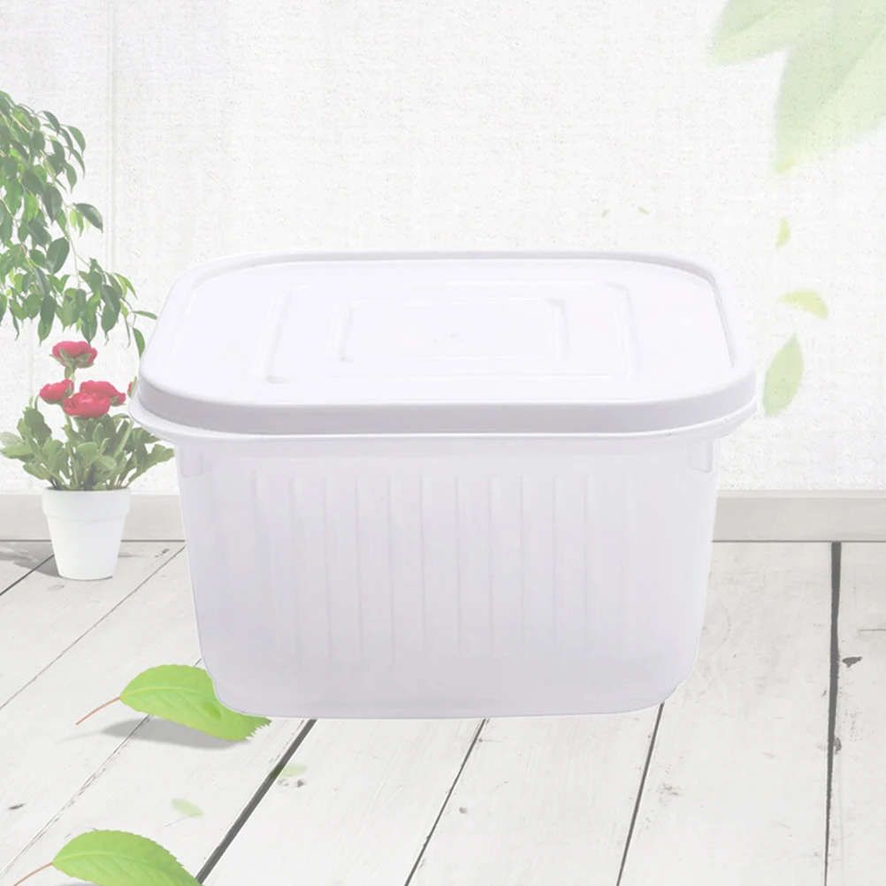 

Fruit Vegetable Storage Box Containers Home Crisper Kitchen Garlic Food Transparent Plastic Safe Material Easy Clean Dustproof