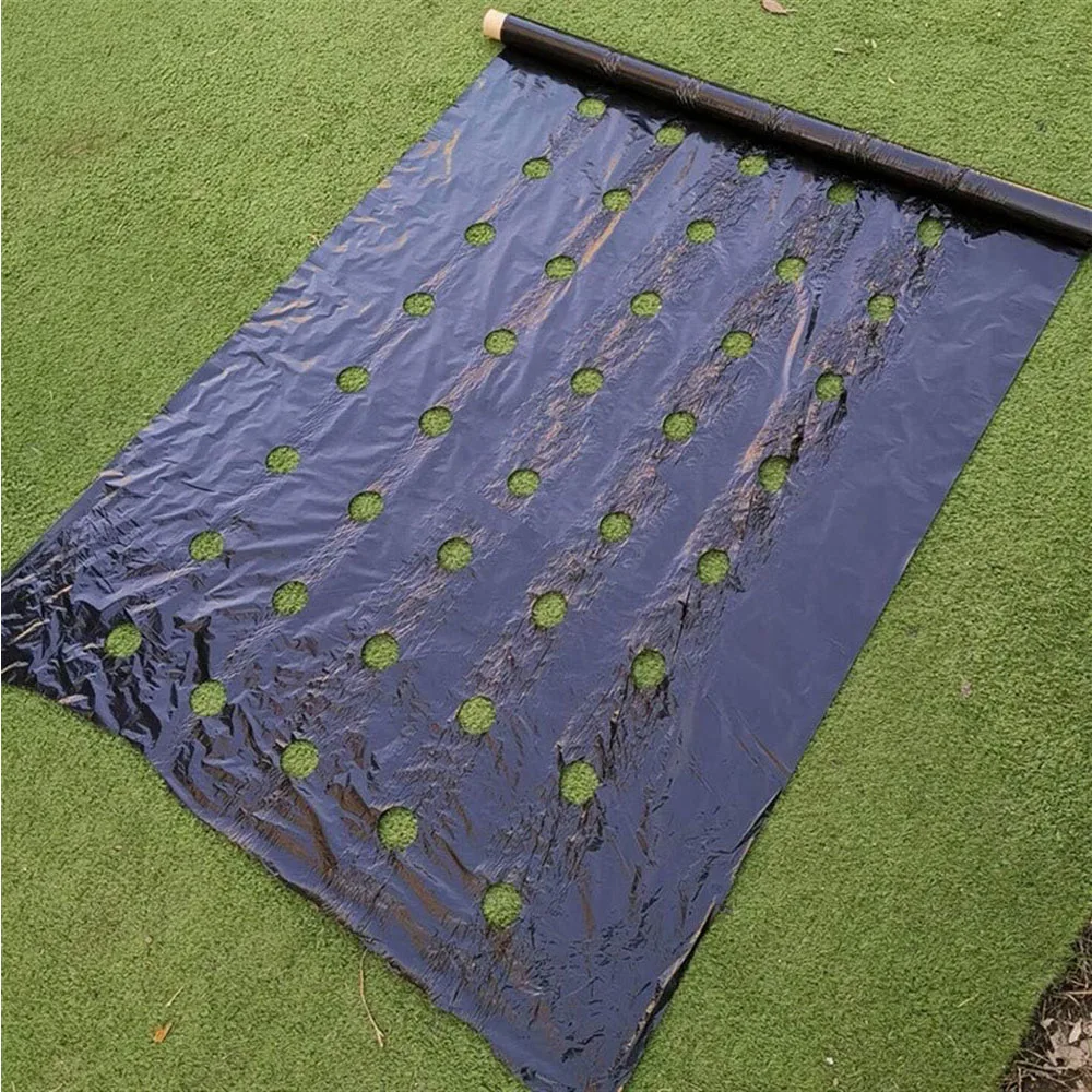 Frantoche agrícola, filme plástico pré-perfurado de 5 furos, controle de ervas daninhas de estufa mylar morango ferramentas de plantio de vegetais 0,95x10m
