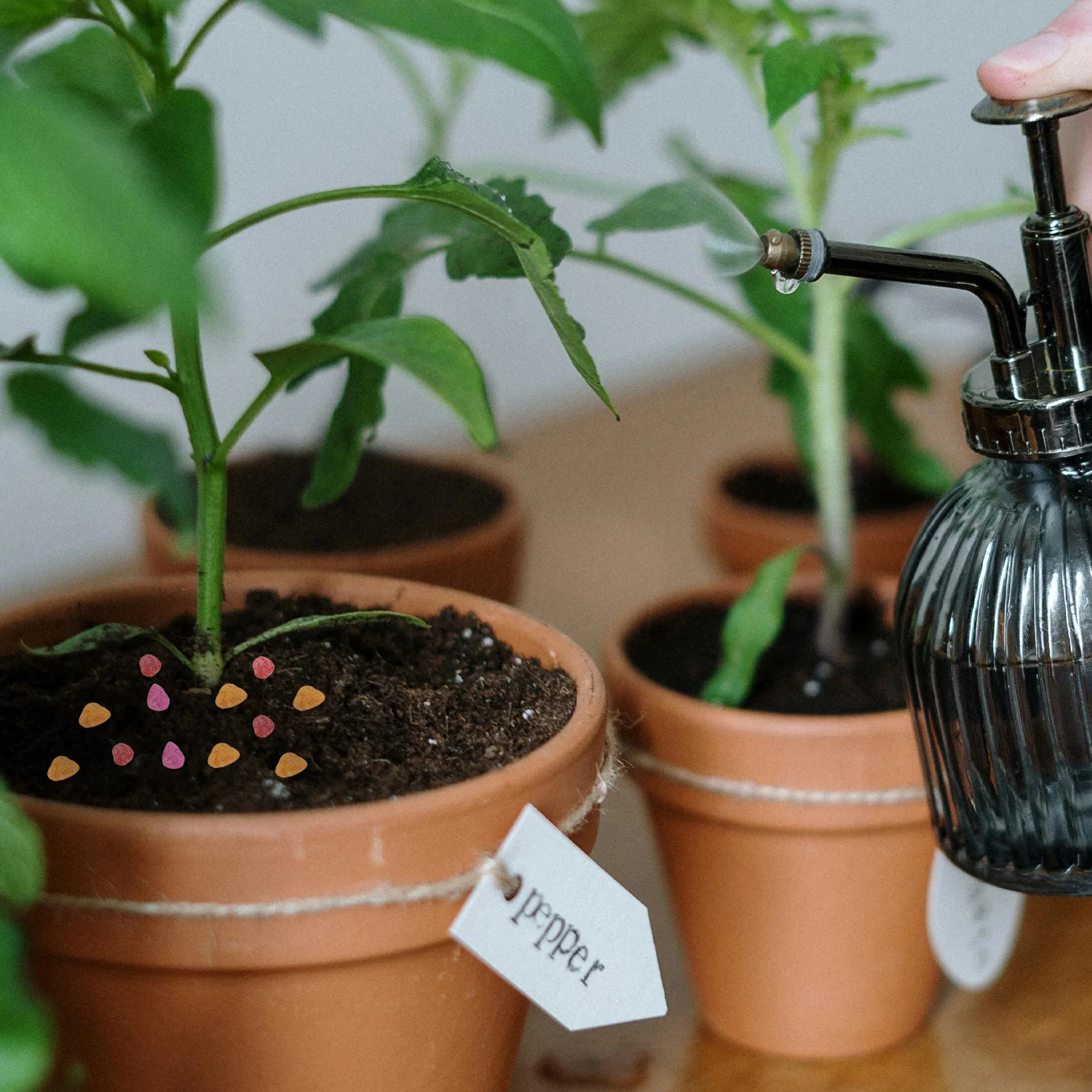 

1Pack 1Kg Colorful River Rocks Fine Aquarium Gravel for Plant Pots Decorative Stones Landscaping Pebbles for Vase Filler Indoor