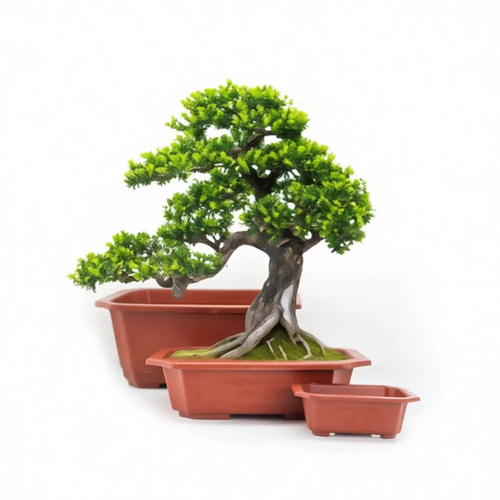 Decorative Rectangular Plastic Bonsai Pot Flower Planter Container Office Desktop Gardening Succulent Plant Display Box