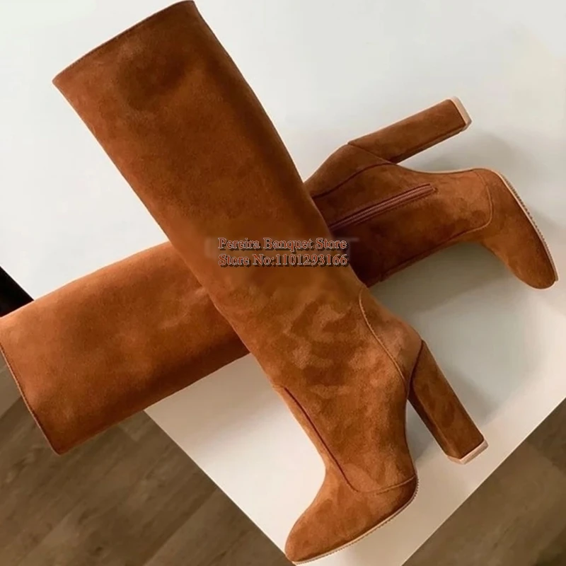 

Brown Suede Chunky Heel Tall Boots Pointed Toe Zipped Women Fall Winter Long Boots Block Heels Footwear Size34-52