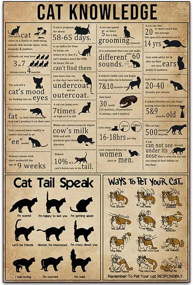 Funny Retro Classic Wall Decoration - Garage ​Metal Signs Artwork -Cat Knowledge Cat Tail Speak - Original Vintage Design Tin Me