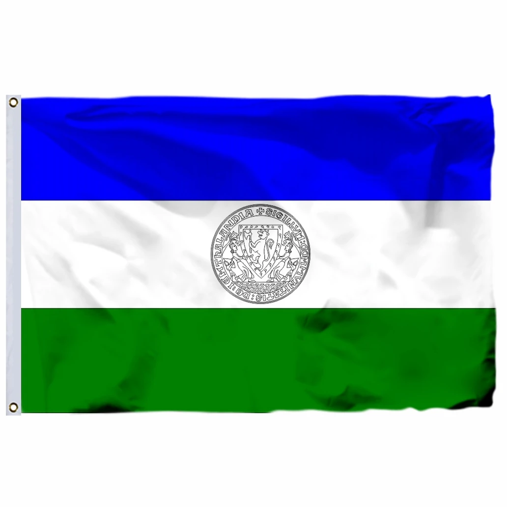 Sweden Air Force Commander flag Swedish Regent 4x4ft Double sided printing Swedish Minister for Defence Flags