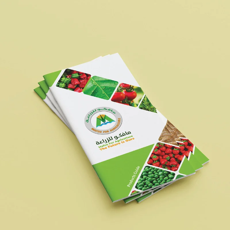 custom Custom Premium Coated Paper Logo Printing Folding Flyer Catalogue Pamphlet Brochure Booklet Instruction Manual Leaflet Pr