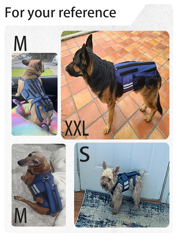Coodeo Rückenstütze für Hunde mit Arthritis, Rückenbandage für Haustiere bei IVDD, Rückenprotektor zur Schmerzlinderung, Genesung nach Operationen und Rehabilitation. – Detail 7