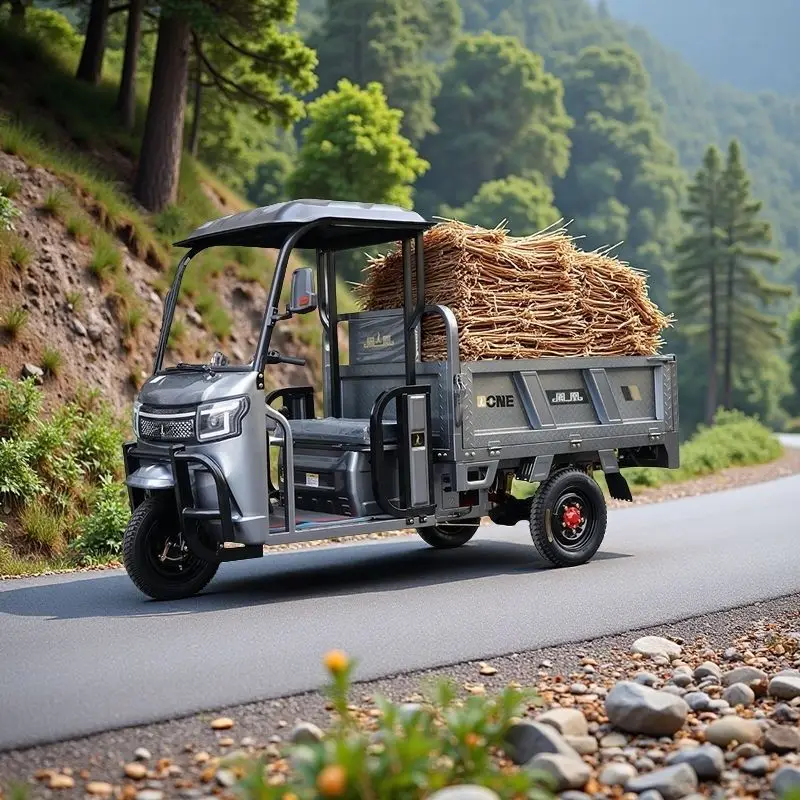 

Household electric tricycle