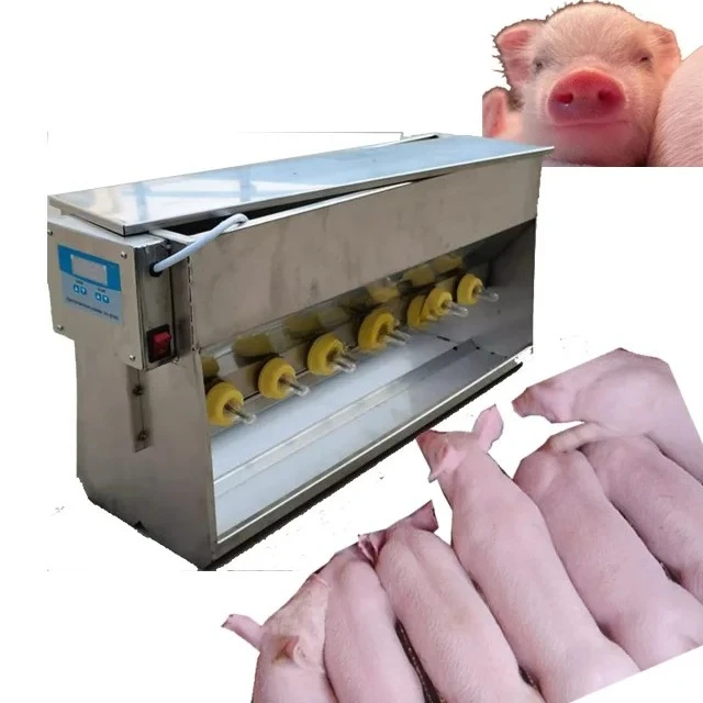 

Automatic Pig Feeder with Sound 10 Nipples Stainless Steel Standard Style Lamb Feeders