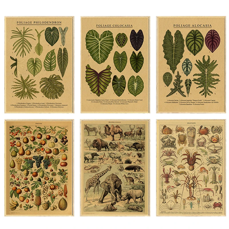 Botanical Illustration Poster Plant Leaf Flower Kraft Paper Posters Vintage Home Room Bar Cafe Decor Aesthetic Posters for Wall