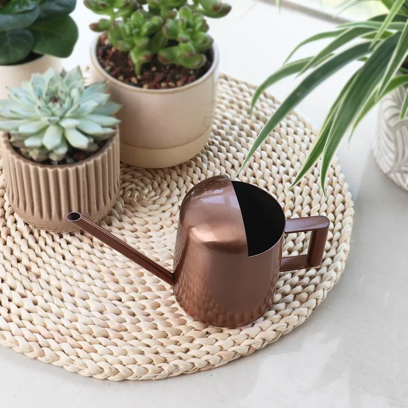 300ML Mini Water Cans Stainless Steel Long Narrow Spout Small Water Pot Desktop Potted Plants Gardening Watering Tools Accessory