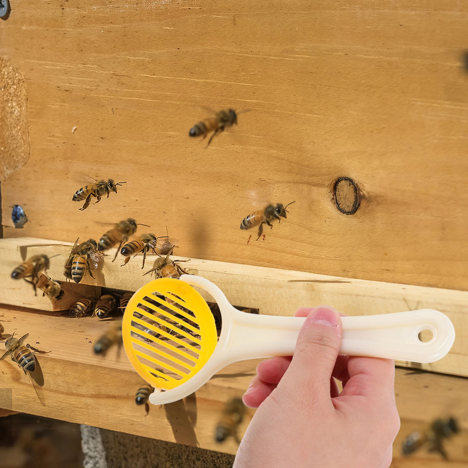 

Marking Cover Beekeeping Supplies Clips for Bees Summer Kit Cage Tool Frame Holder Catcher
