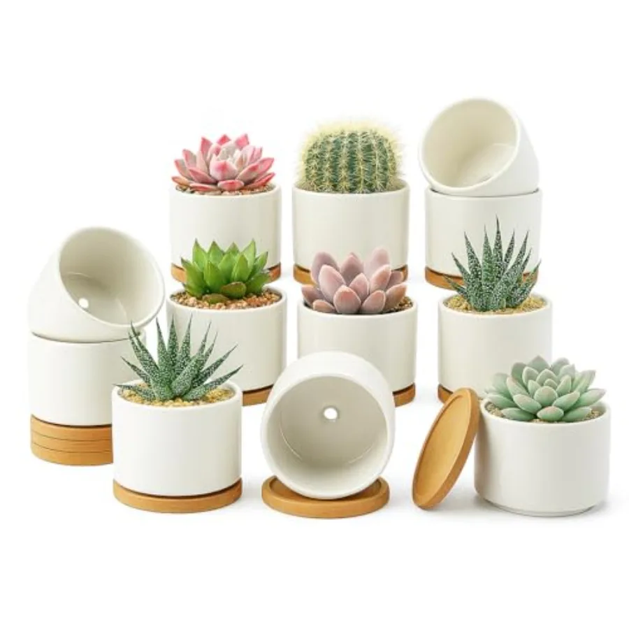 

12 керамических горшков для суккулентов3. Маленькие белые кашпо для суккулентов с дренажным отверстием и бамбуковым поддоном для комнатных растений