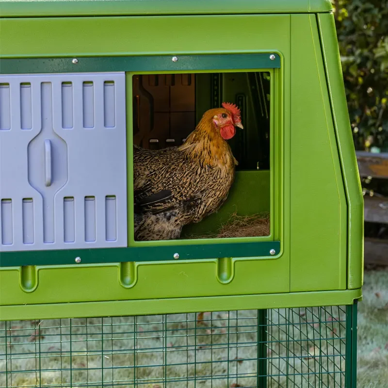 

Prefab Plastic Mobile Pet Cage Hen Egg Chicken Coop House