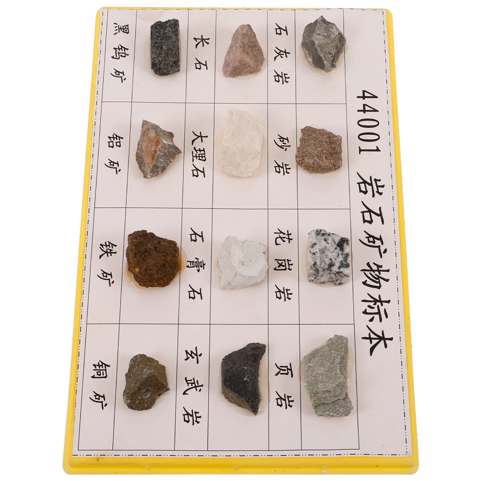 عينات الصخور المعدنية والمعادن والصخور تجربة بيولوجية للمدارس الابتدائية والثانوية عرض بلاستيكي