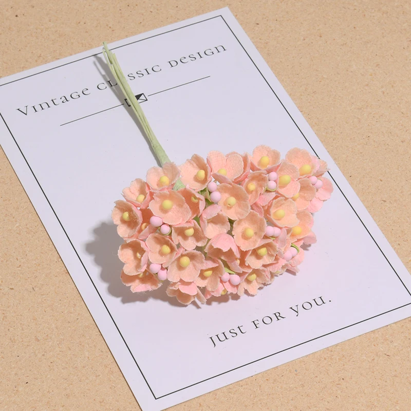 Variant: Champagne Peach