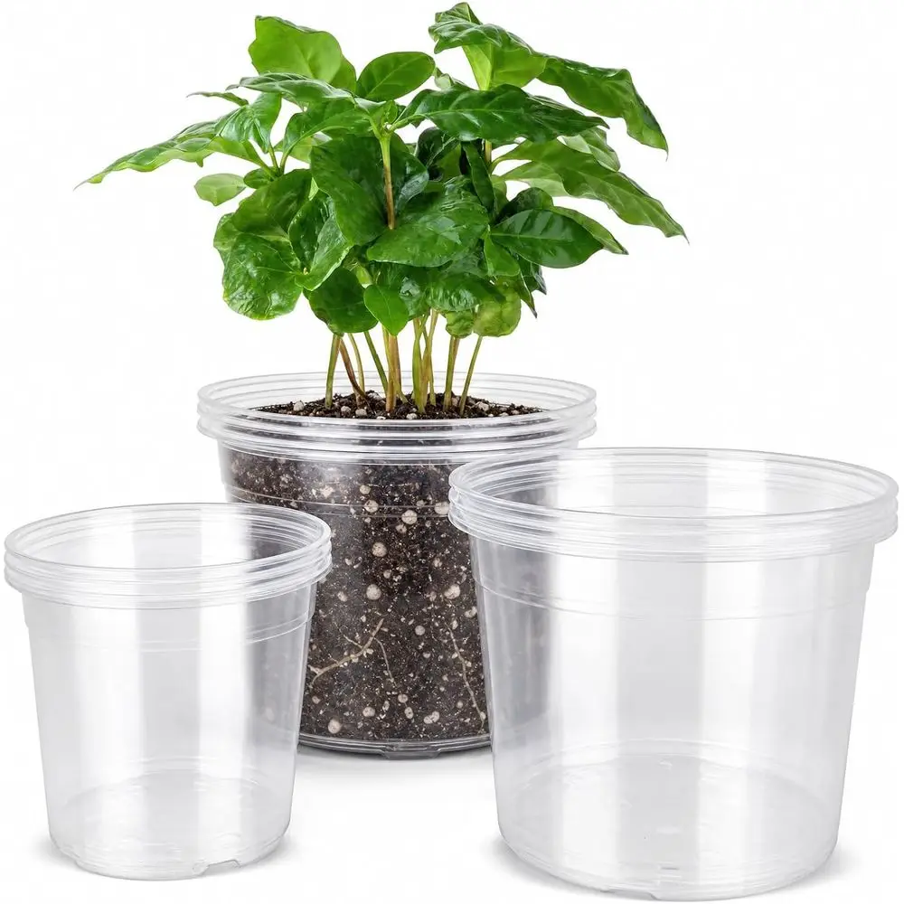 12-Pack Clear Nursery Pots with Drainage, 6, 8, and 10 Inch Sizes, Ideal for Seedlings, Plants, Orchids, Indoor and Outdoor Use