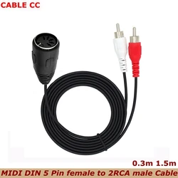 MIDI 5 Pin Din Female To 2 RCA Male Plug AMP Professional Grade Audio Cable For Bang & Olufsen Naim Quad Stereo Systems
