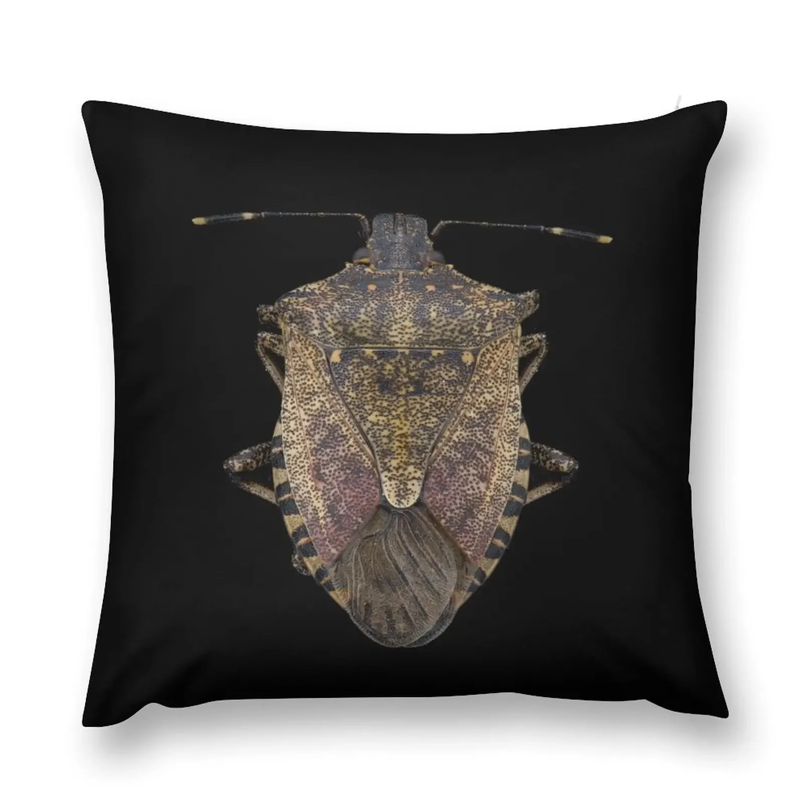 Brown Marmorated Stink Bug (Halyomorpha halys) Throw Pillow bed pillows Pillowcases For Pillows pillow