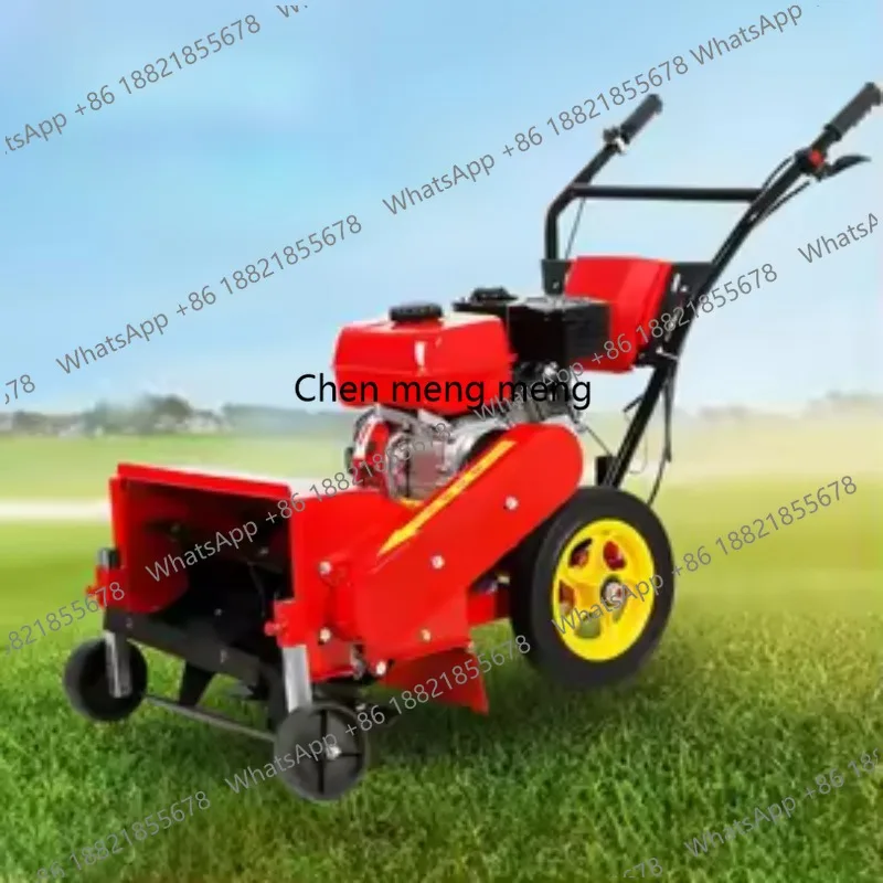 

Многофункциональная прополка, небольшая бытовая сельскохозяйственная ручная прополка, микро-столевая машина, машина для мелорации ржавчины