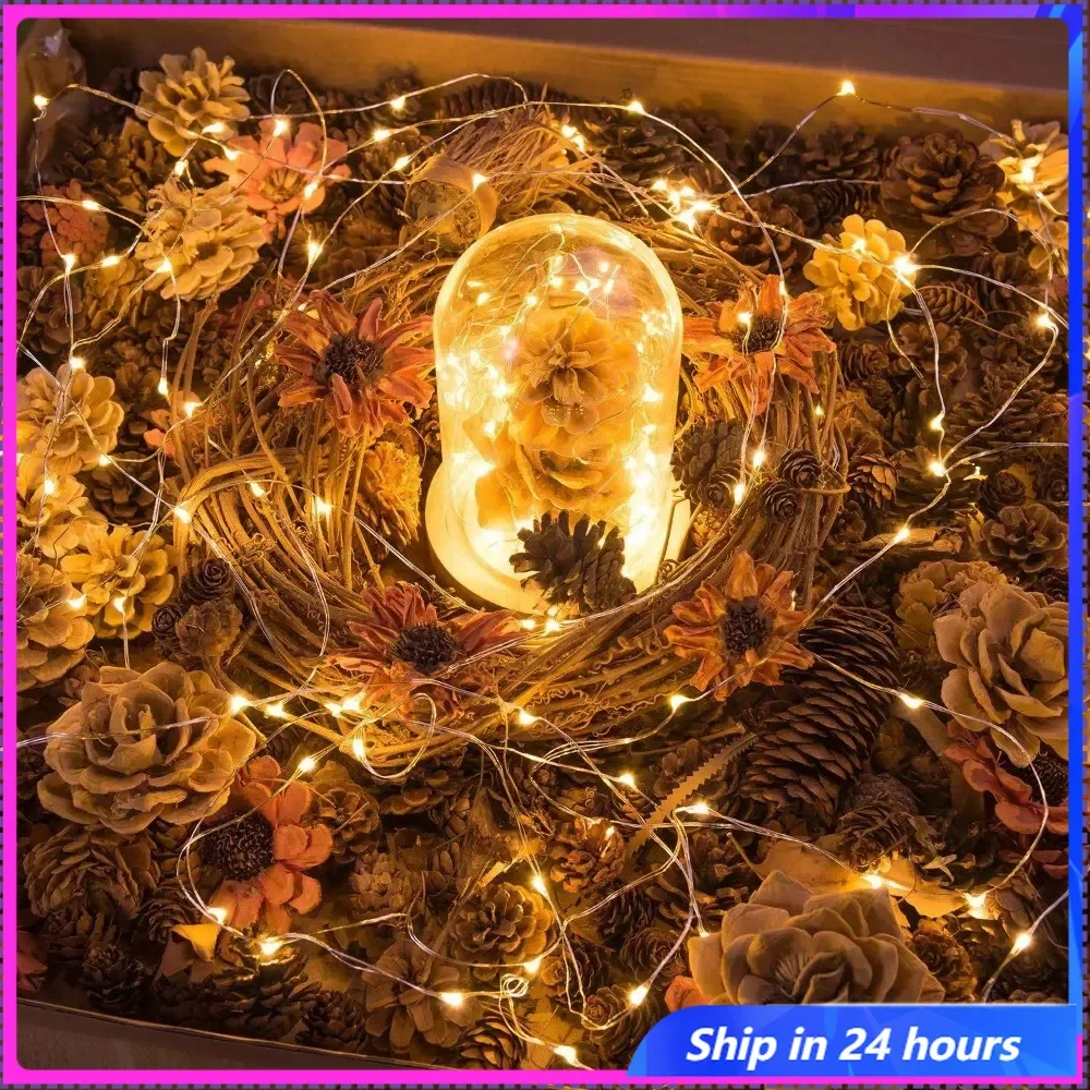 

LED String Lights Silver Wire Fairy Warm White Garland Home Christmas Wedding Holiday Party Decoration Powered By Battery