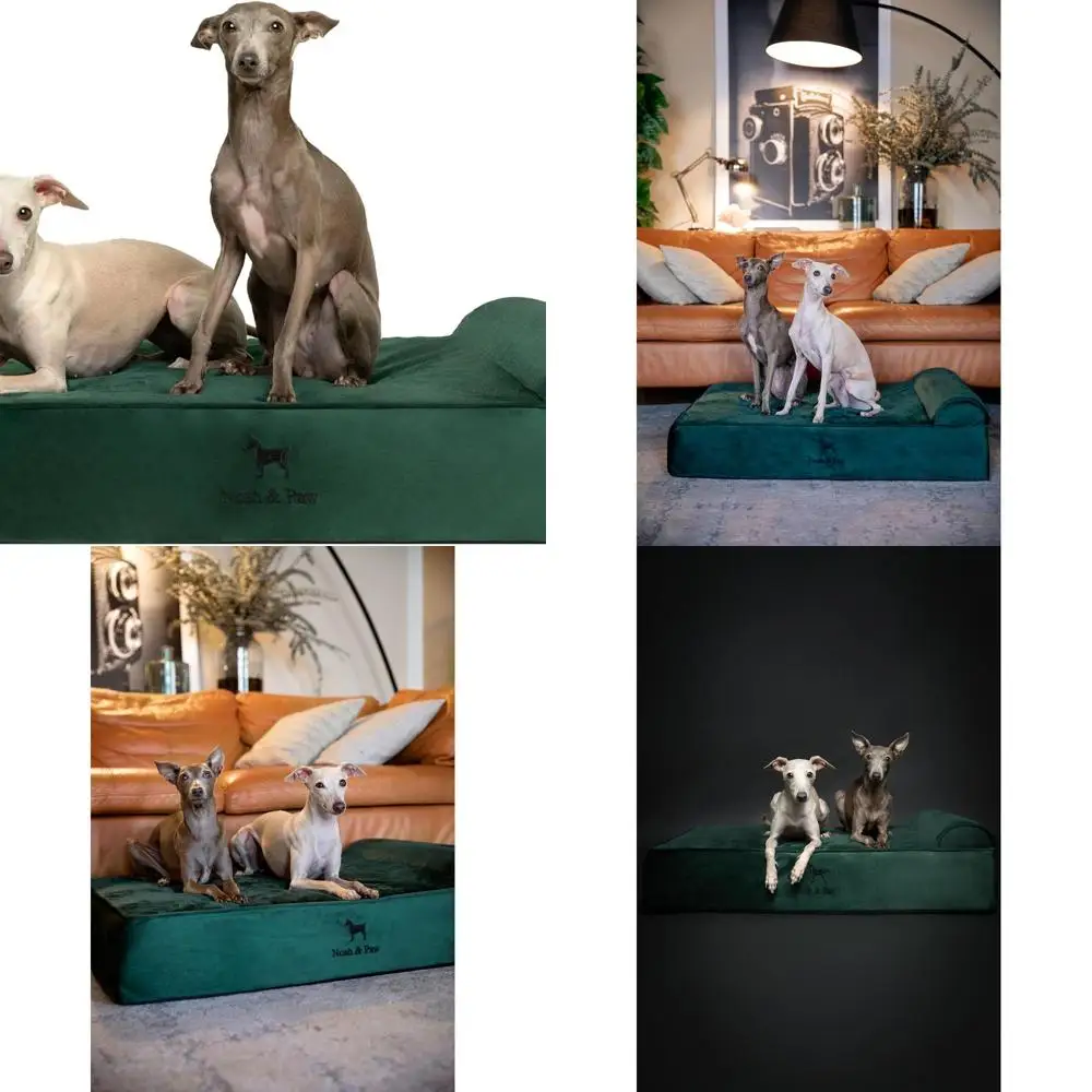 

Orthopedic Gel-Infused Memory Foam Dog Bed, 35x25x8.7 Inches, Waterproof & Washable with Removable Cover