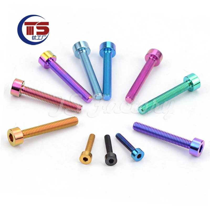 TS 10PCS M1.6/M2/M2.5  Titanium Factory Titanium Cup Head Hexagon Screws Cylindrical Hexagon Screws do not rust