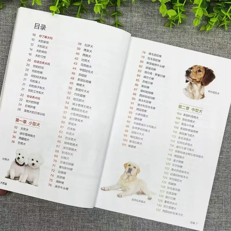 Guide to Famous Dogs, Pet Dog Feeding Knowledge, Dietary Care, Pet Dog Characteristics and Habits Complete Collection of Books