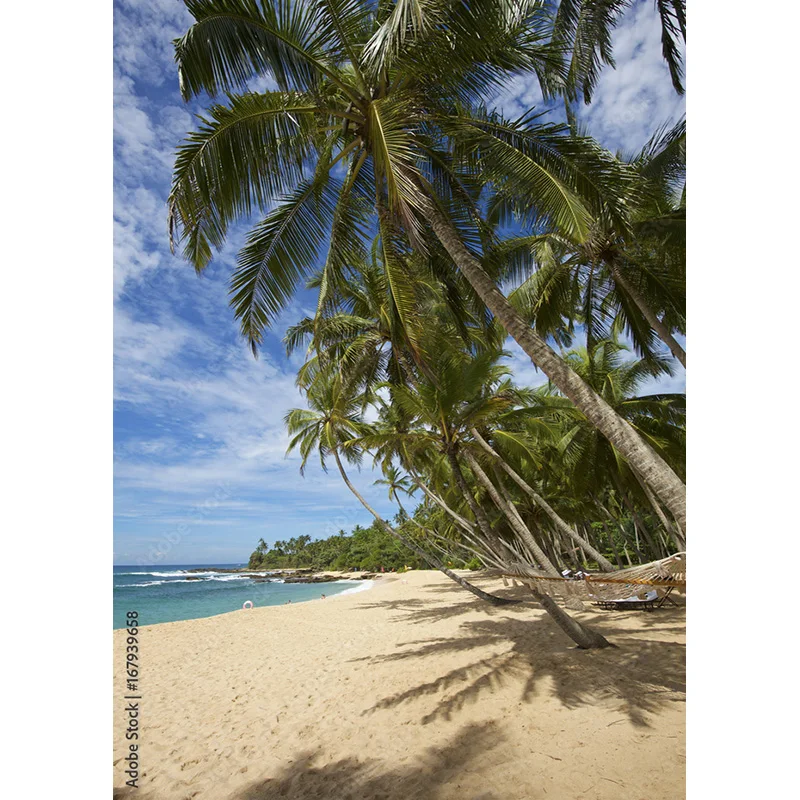 ZHISUXI Tropical Sea Beach Palms Tree Photography Background Natural Scenic Photo Backdrops Photocall Photo Studio 211227-HHB 02