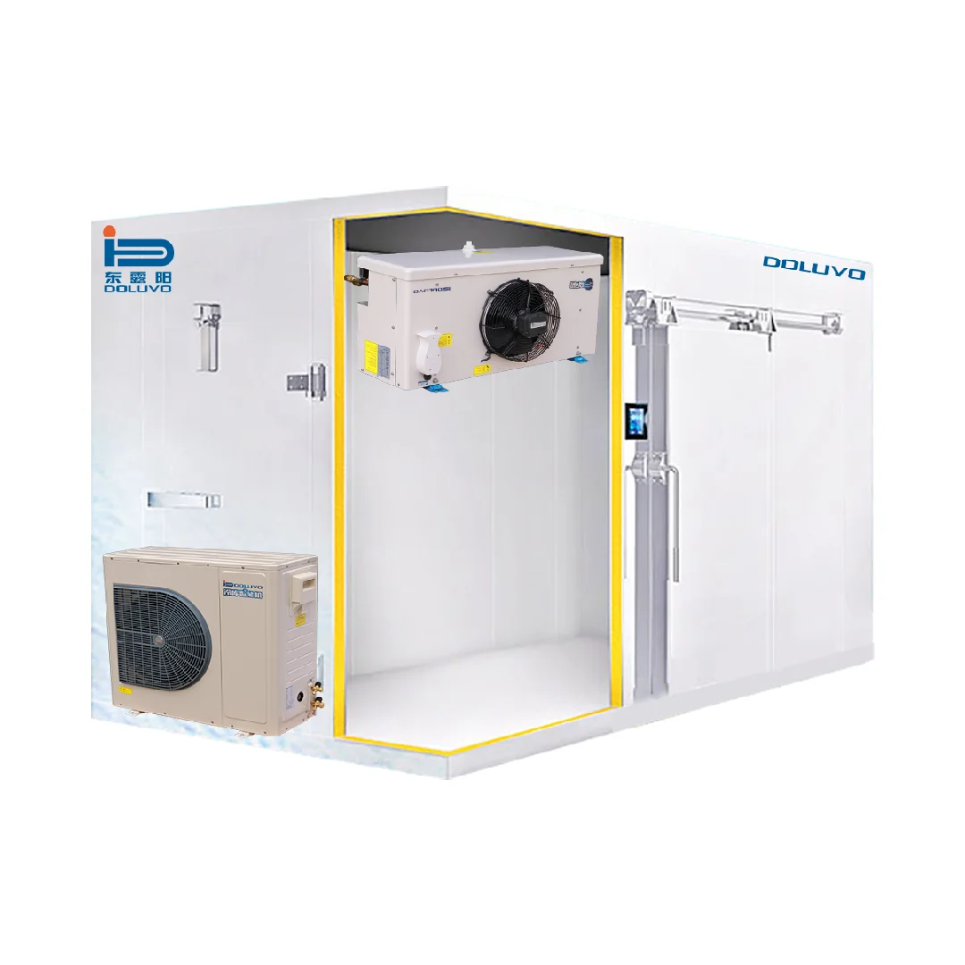 

-20 Degrees 3HP Container Cold Storage Room Walk in Refrigeration Freezer for Sale Cold Room Price Condensing Unit, Evaporator