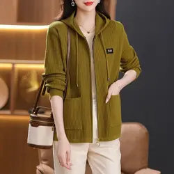 Knitted Shirt Spring and Autumn New Hooded Zipper Knitted Jacket Women's Cardigan Short Pocket Loose Base Shirt