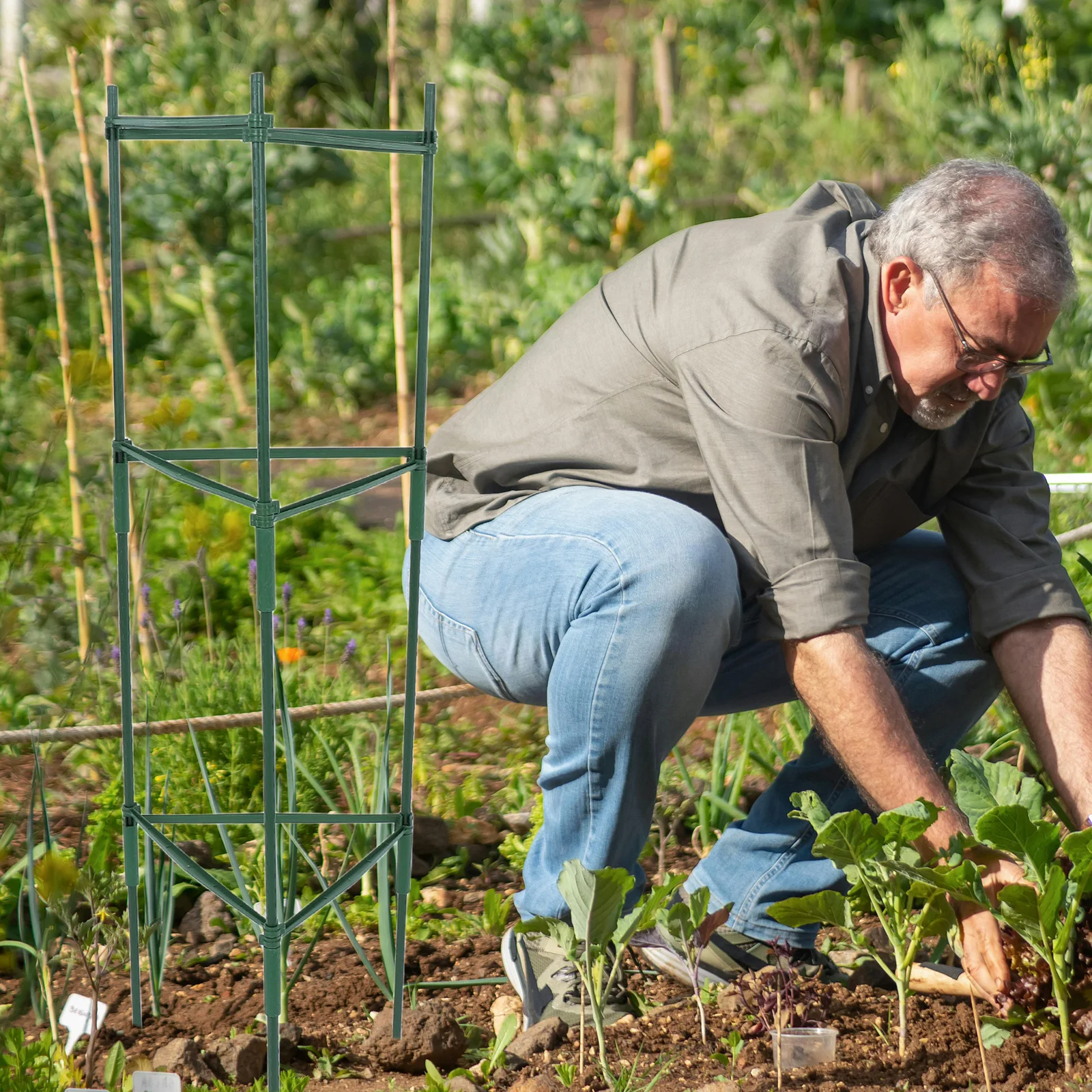 

1 set 1 Set Garden Plant Trellis Tomato Climbing Frame Heavy Duty Plastic Stakes Adjustable Support For Tomatoes Cucumbers Beans