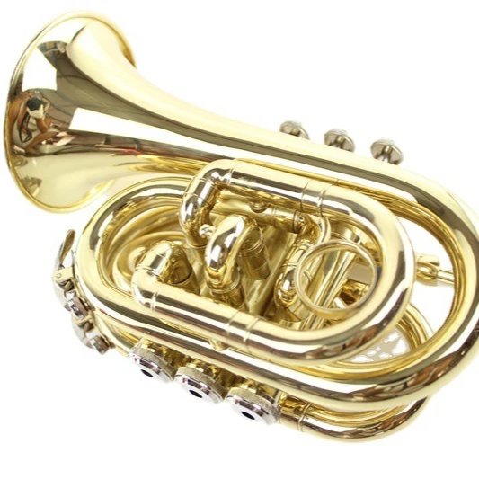 

Hooqu Bb key 4 flat key bass big horn instrument, brass lacquered gold
