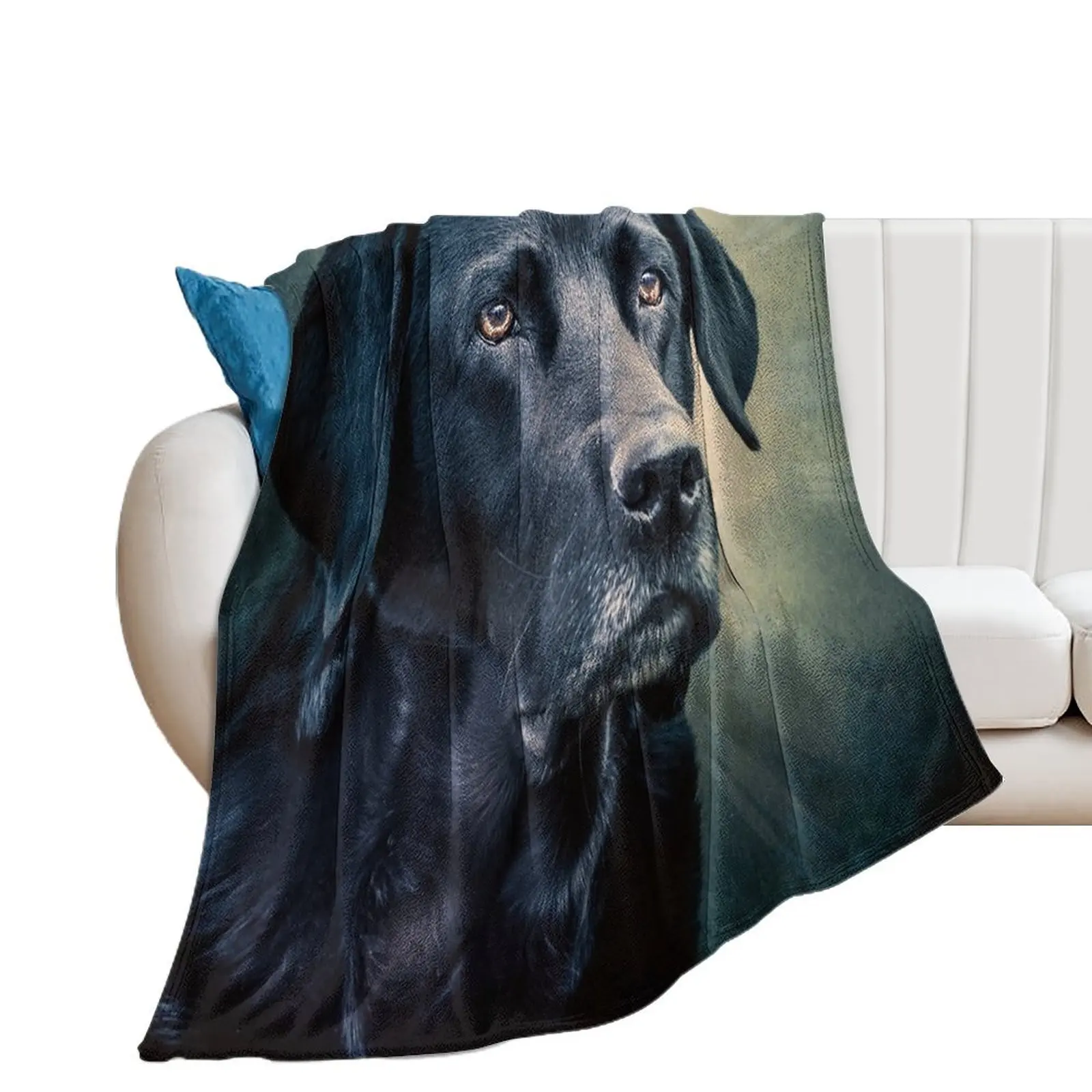 Black Velvet - Labrador Throw Blanket Fashion Sofas Decorative Sofa manga for sofa Blankets