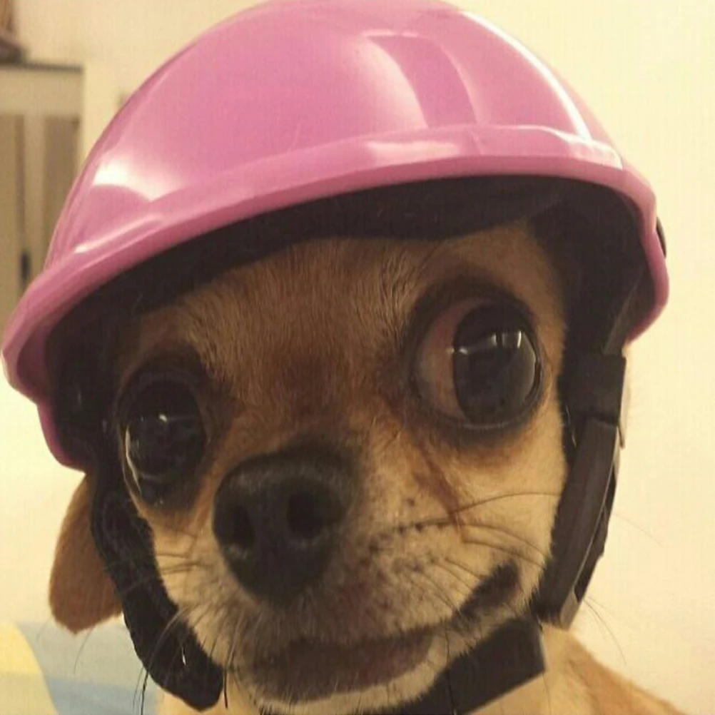 

Pet Protection Cool Dog Costume Accessories Lightweight Adjustable PlasticHelmet for Pets Sun