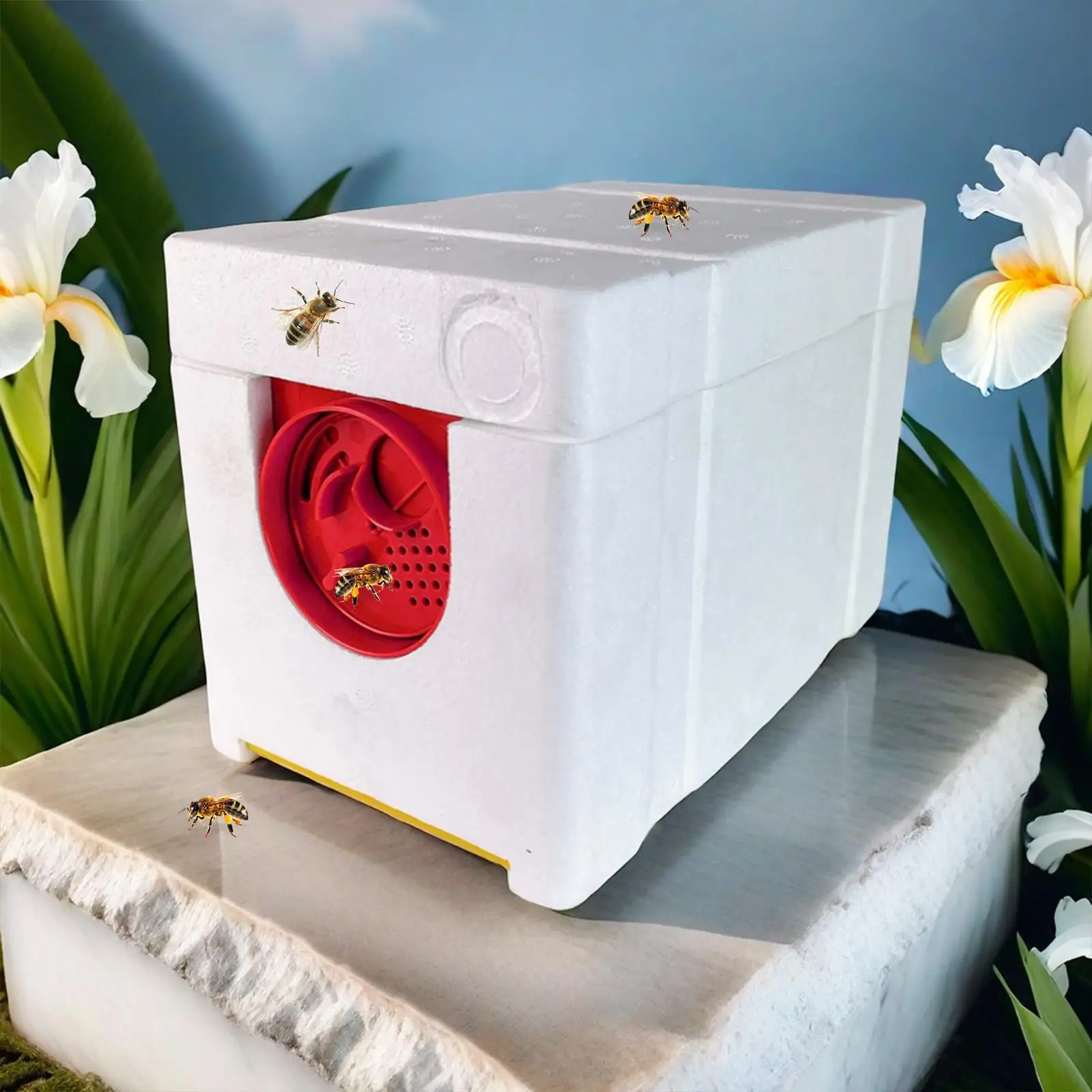 Plastic Queen Bee Breeding Box Rectangle Beehive Mating Nuc Hive Beekeeping Equipment for Advanced Bee Hive Kit Plastic Queen Bee Breeding Box Rectangle Beehive Mating Nuc Hive Beekeeping Equipment for Advanced Bee Hive Kit