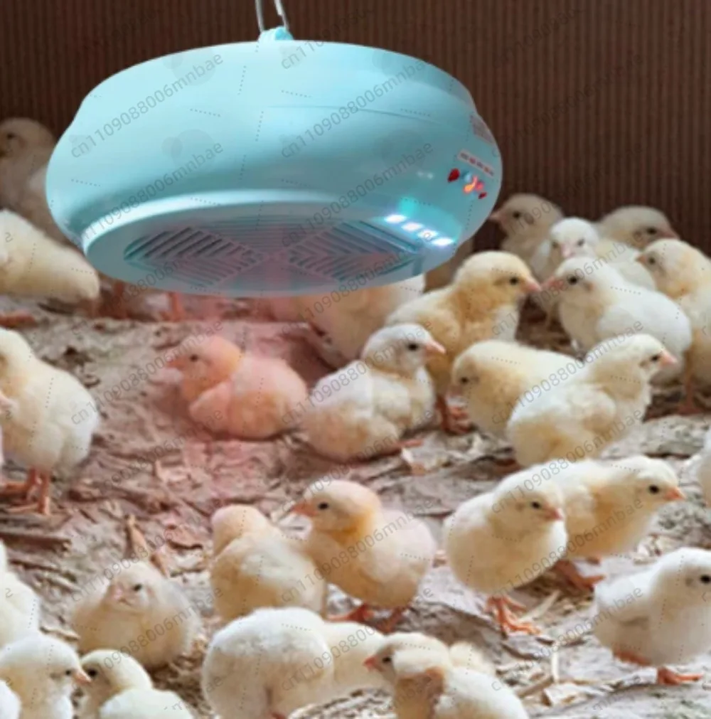 220V Pet Intelligent Remote Control Heater Pet Heating LampChicken and Duck Poultry Animal Warm Light Brooding Incubator