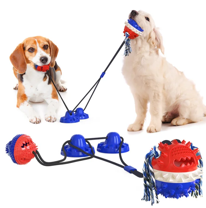 Jouets à mâcher actifs pour chiens, jouets interactifs à mâcher pour chiens, dents dures, grincement, mordre, jouets grinçants, livres de dents