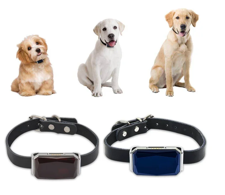 Manufacture Waterproof Gps Fitness Big Collar 4g Tracker Dog Tracking Locator Cat Gps Tracker Pet Tracker For Real-time Tracking