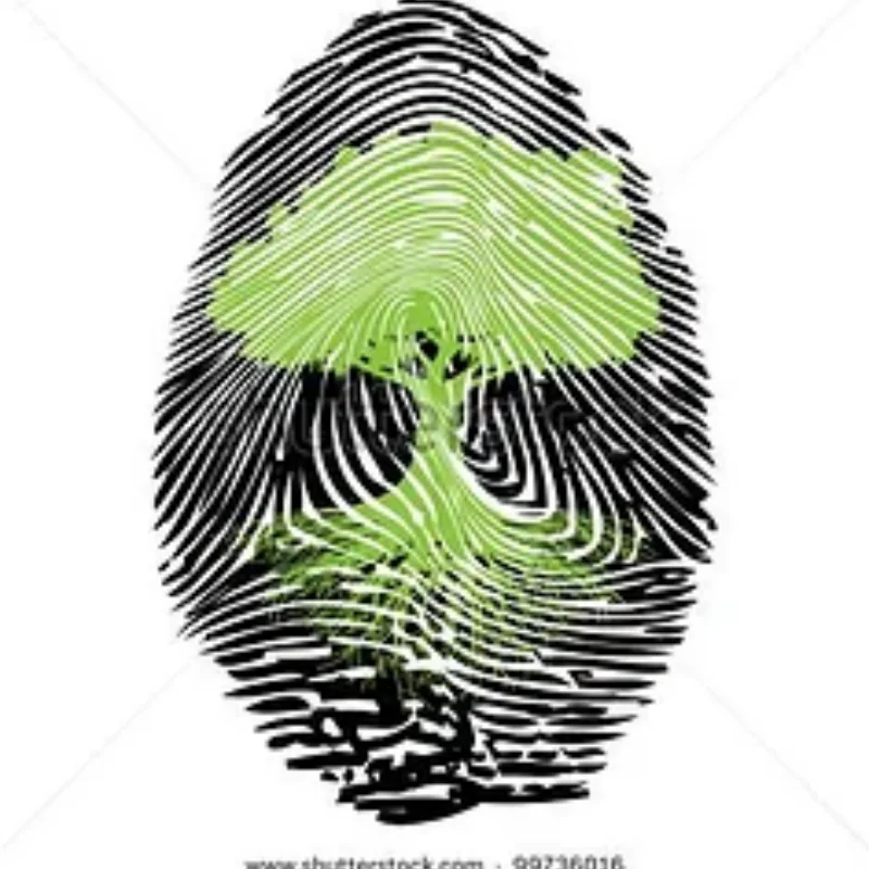 

Металлическая направляющая цепи, защита для LOSI 1/4 Promoto-MX, детали для обновления мотоцикла, аксессуары